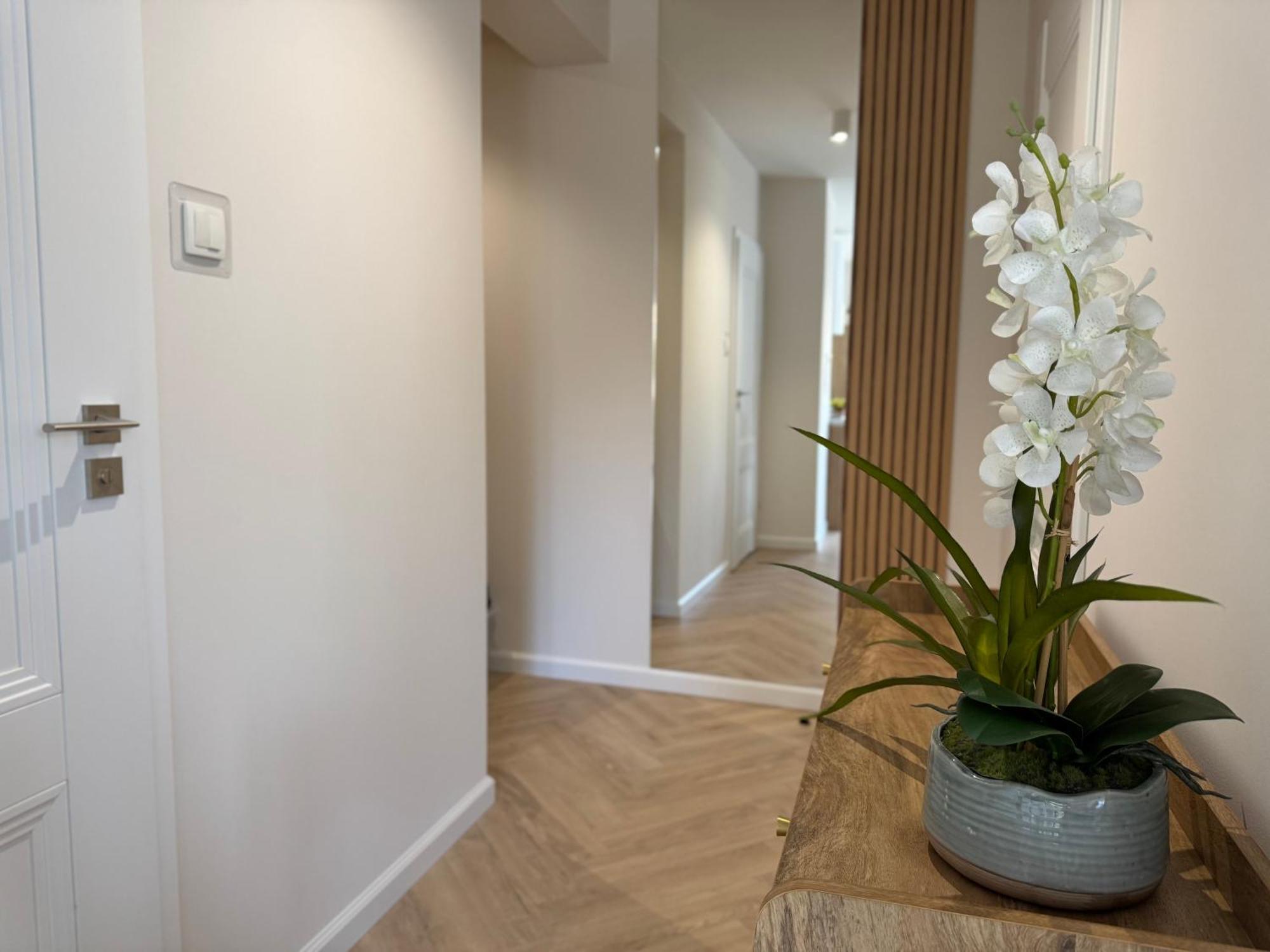 Apartamenty Baltica -Zielone Tarasy 科沃布热格 外观 照片
